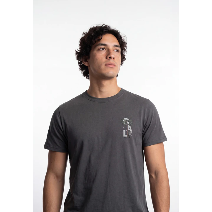 Polera Básica Hombre Gris 4