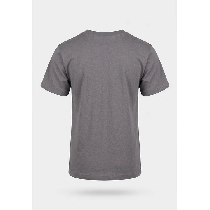Polera Básica Niño Gris 2