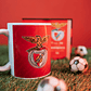 Caixa + Caneca 