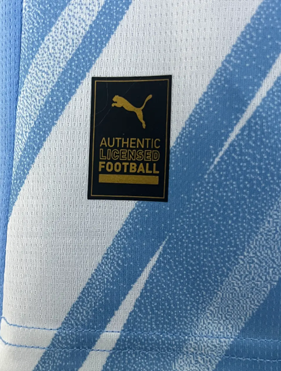 MANCHESTER CITY PRINCIPAL 25/26 5