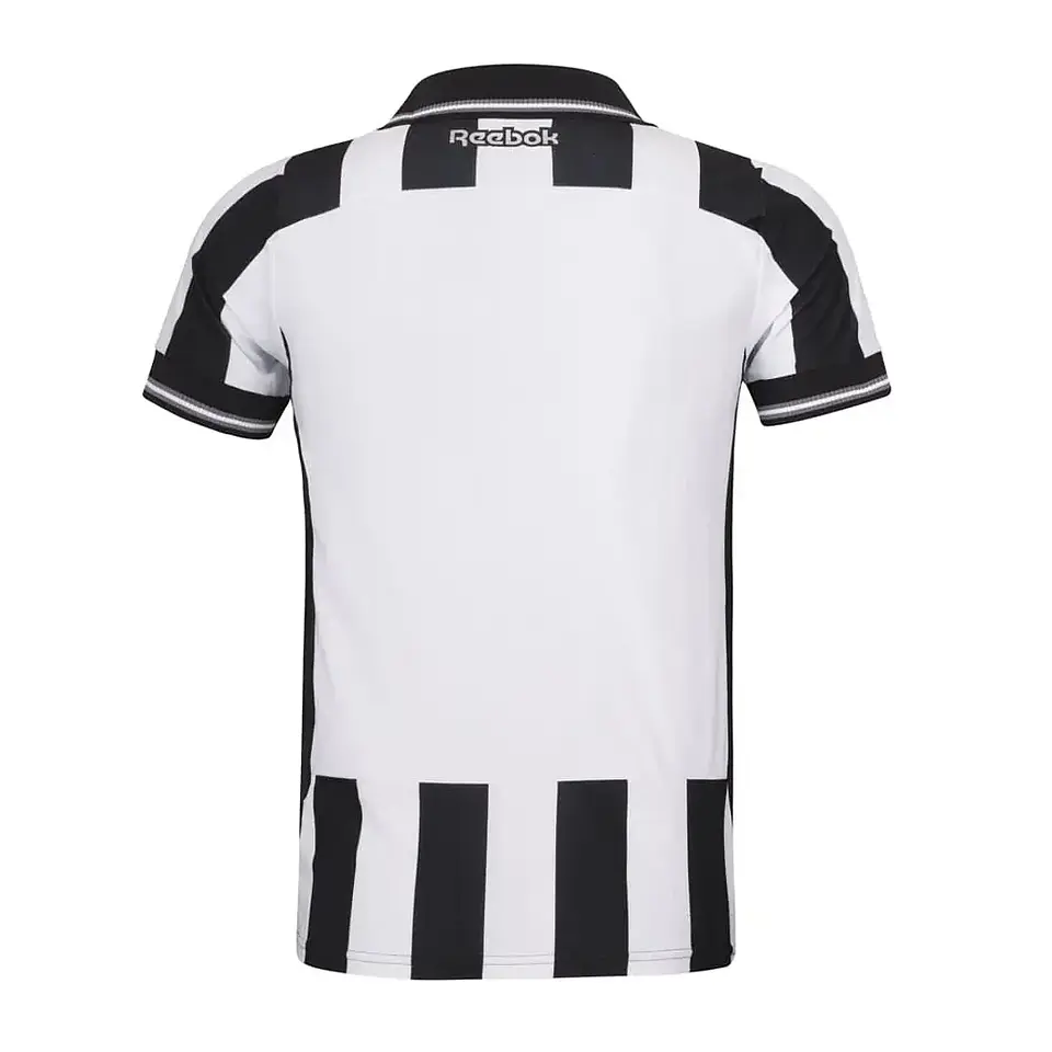 Botafogo Principal 25/26 2