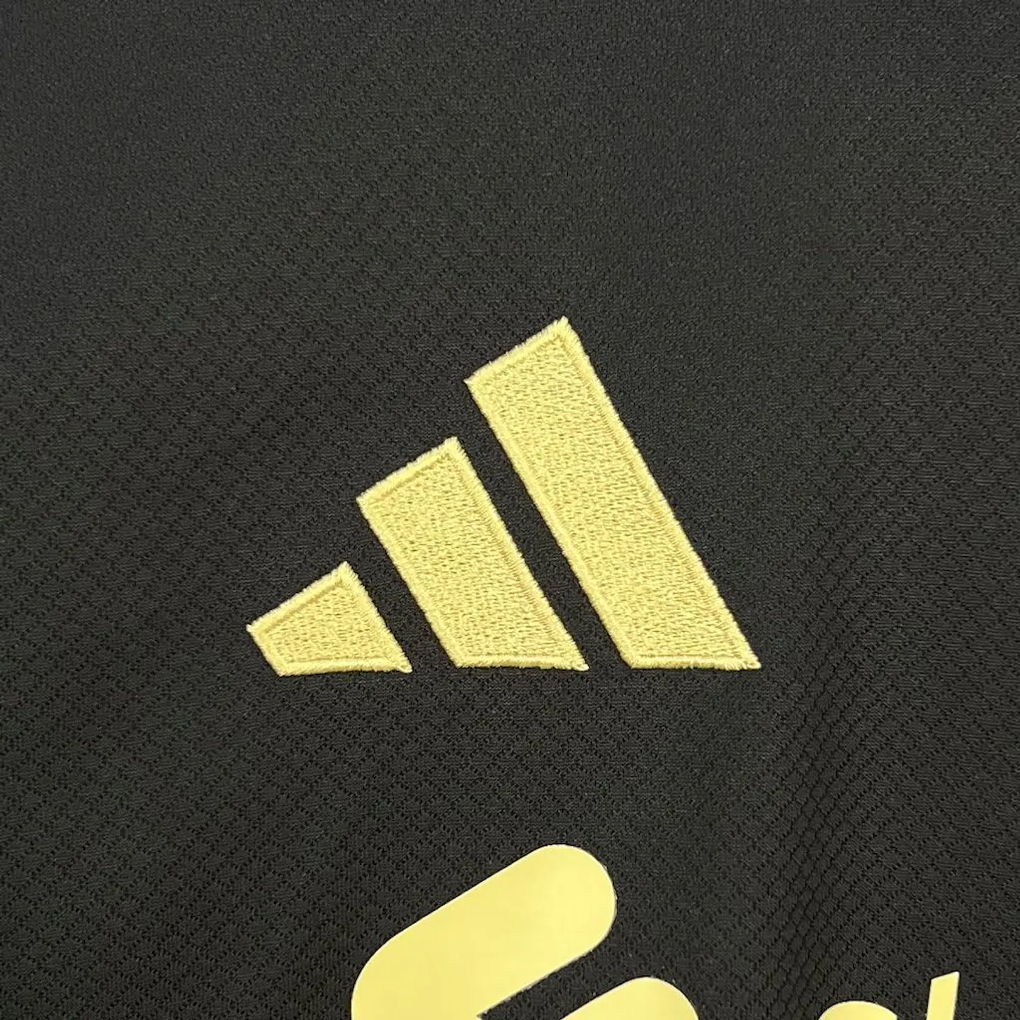 Liverpool Black Gold Edition 25/26 6