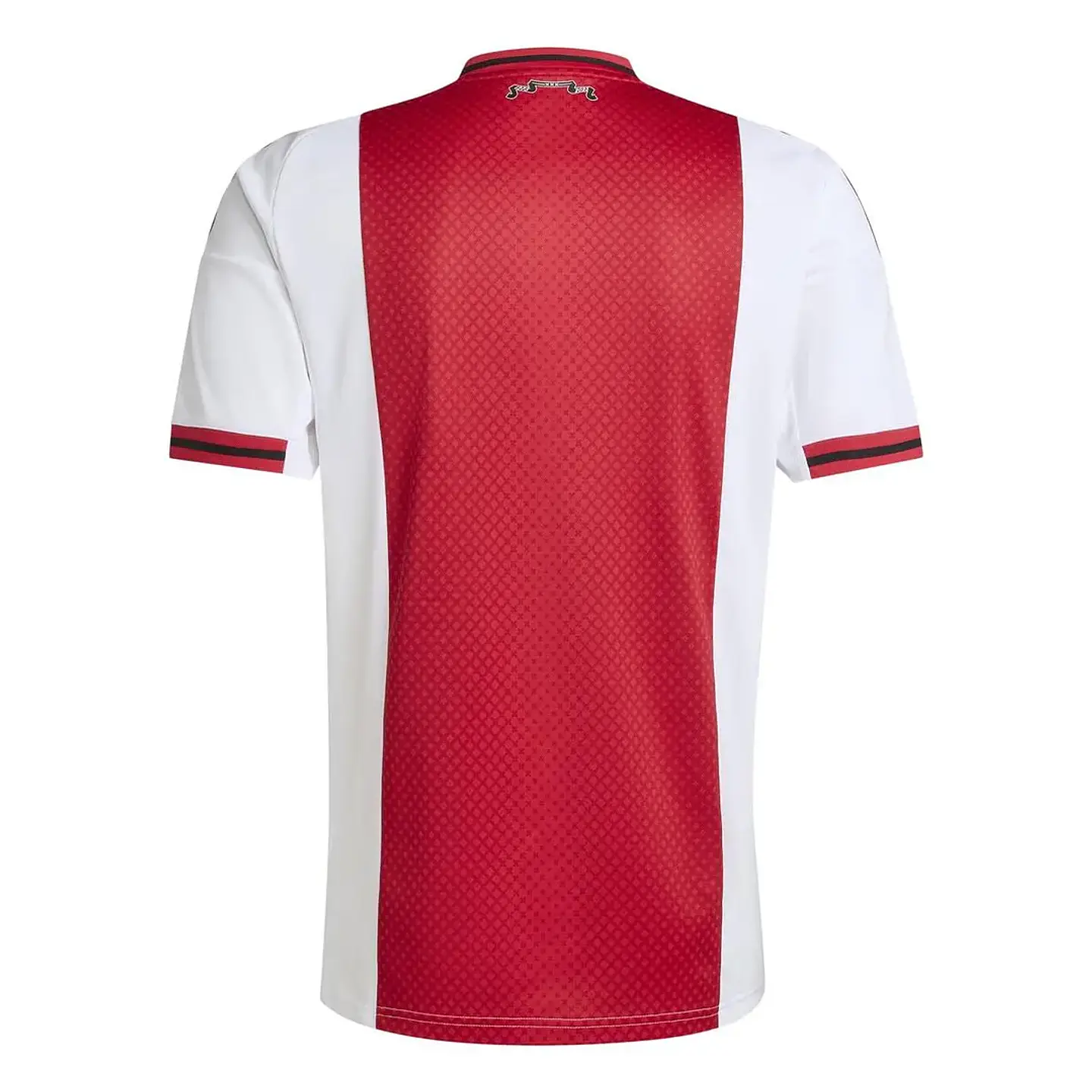 Ajax Principal 25/26 2