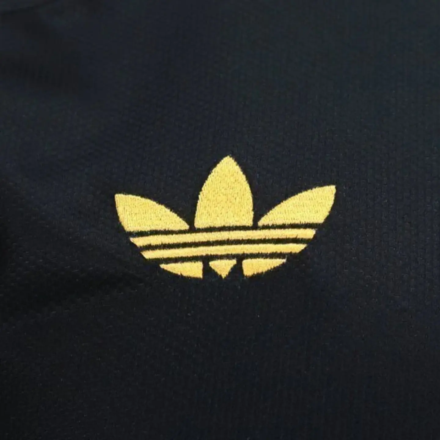 Jamaica Alternativo 2026 4