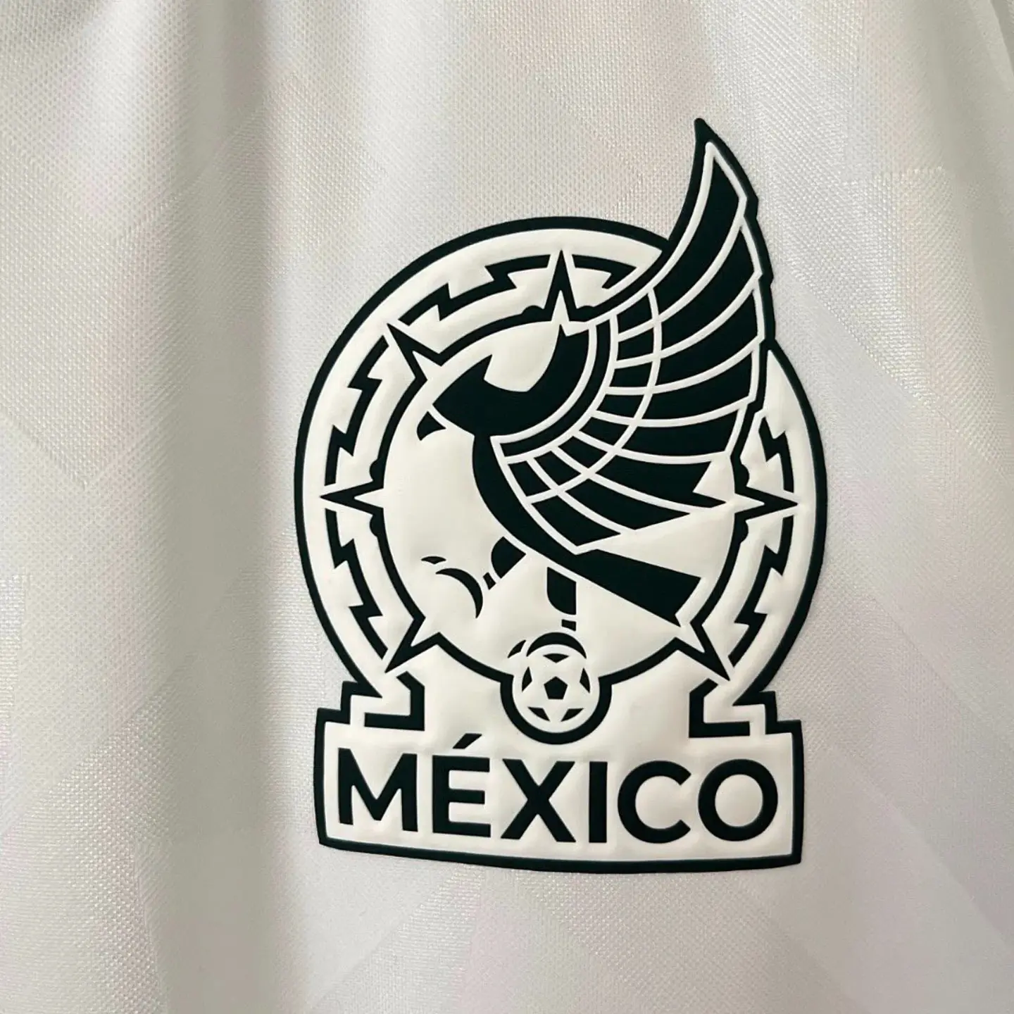 México Alternativo 2026 4