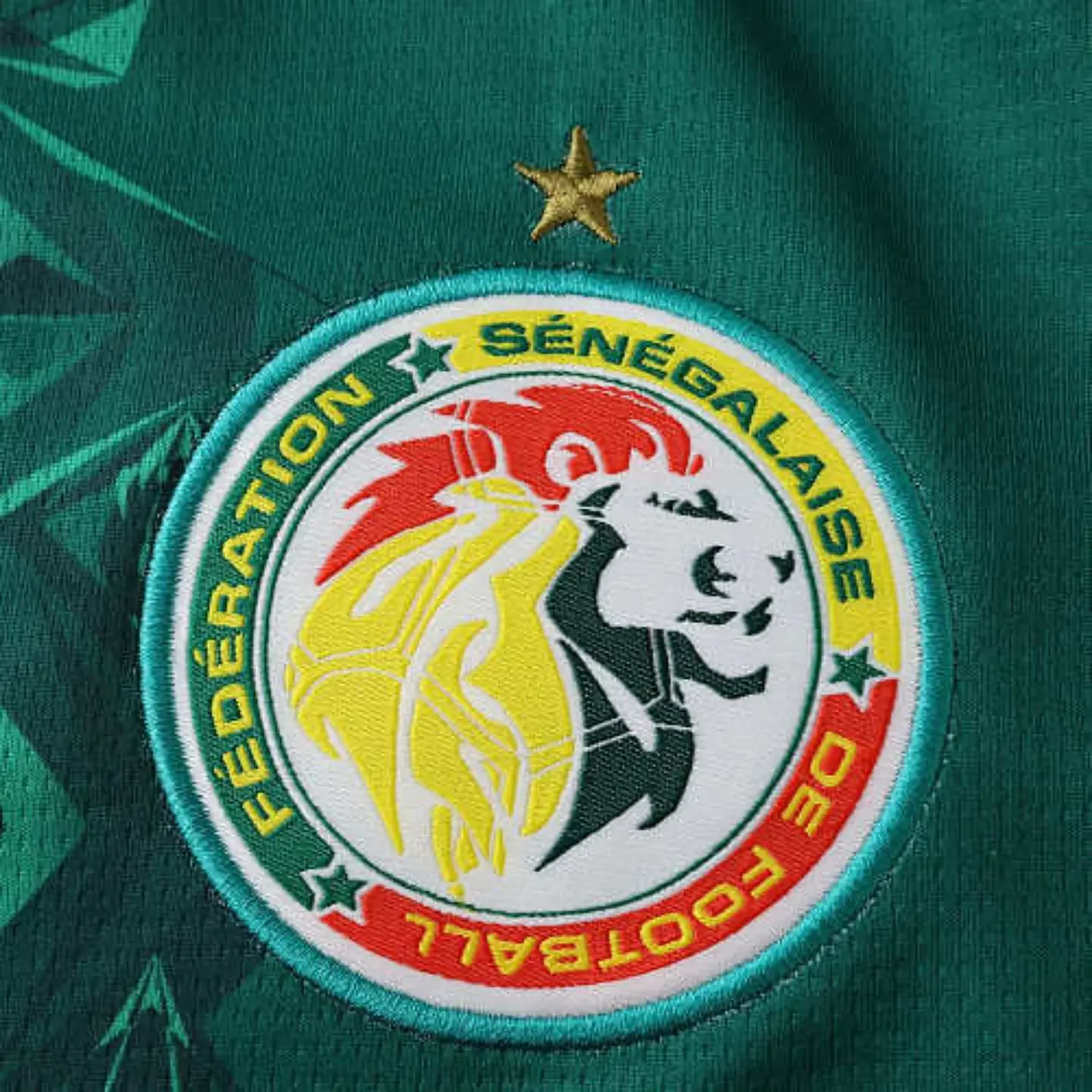Senegal Principal 2026 4