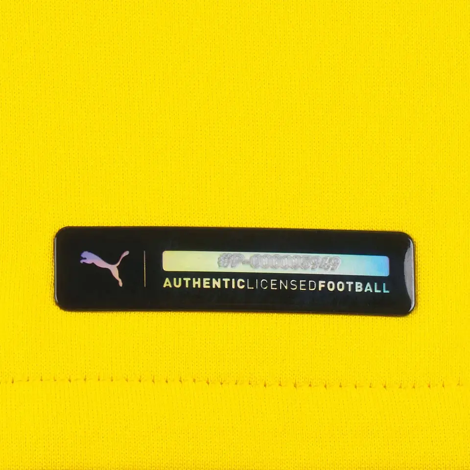 Borussia Dortmund Principal 21 22 3