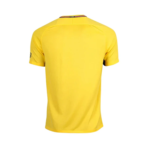 Psg Alternativa 17 18