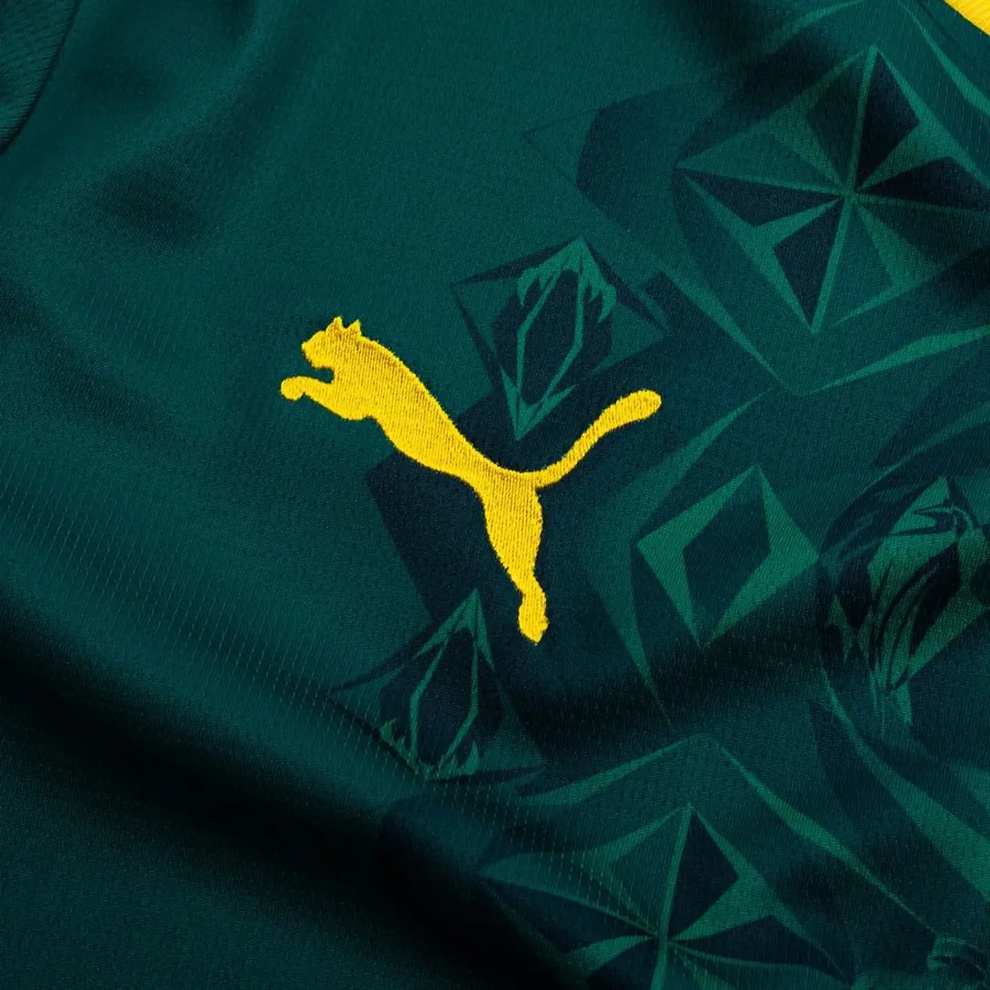 Senegal Alternativa 2026 4