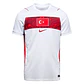 Turquia Alternativa 2026 - thumbnail 1