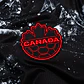 Canadá Alternativa 2026 - Thumbnail 3