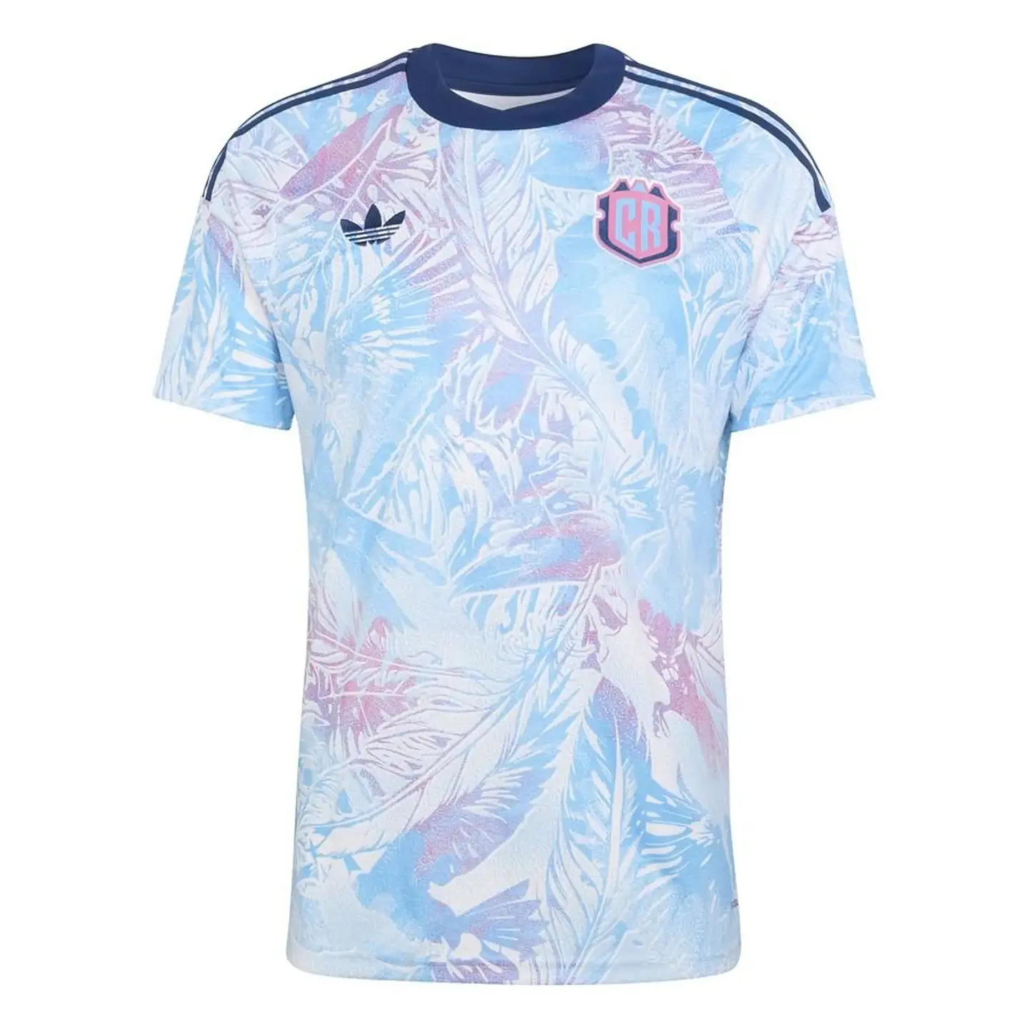 Costa Rica Alternativa 2026 1