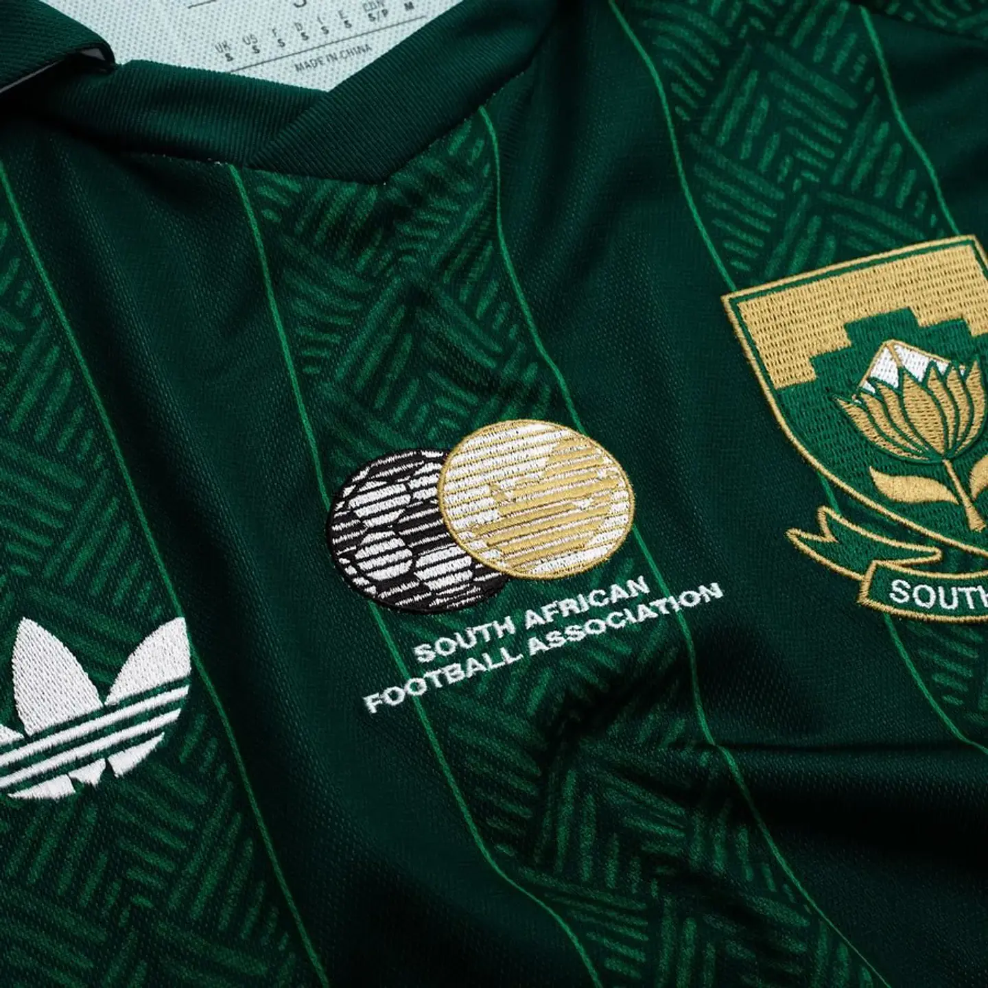 África do Sul Alternativa 2026 3
