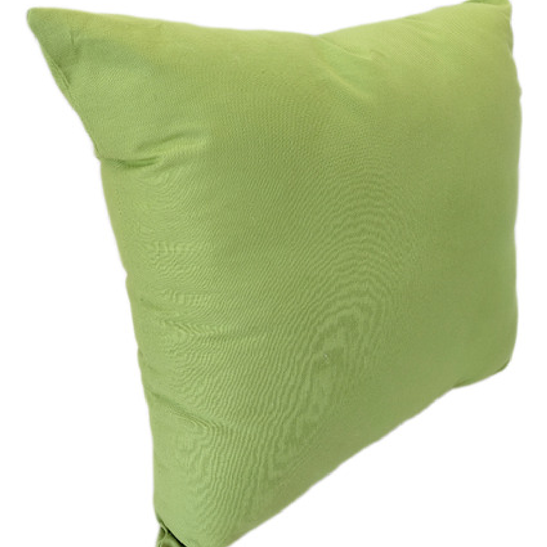 Cojín Bordado Rey Tortuga Villano 4