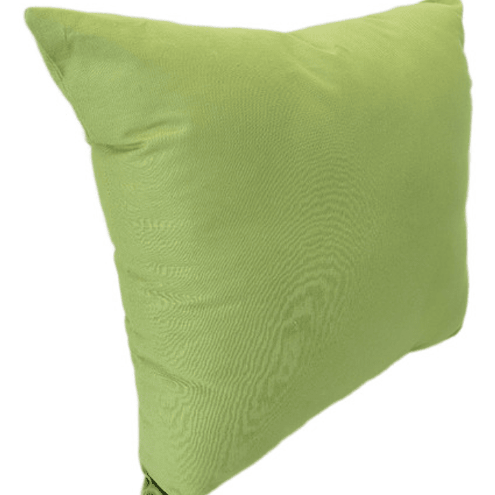 Cojín Bordado Rey Tortuga Villano 4