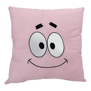 Cojín Bordado Patricio Estrella