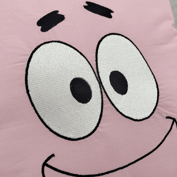 Cojín Bordado Patricio Estrella 2