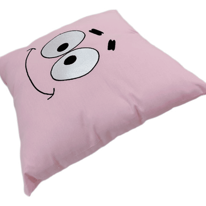 Cojín Bordado Patricio Estrella 3