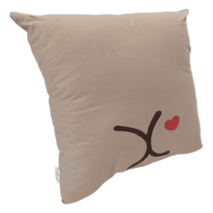 Cojín Bordado Capibara Carpincho Kawaii Varios Colores 8