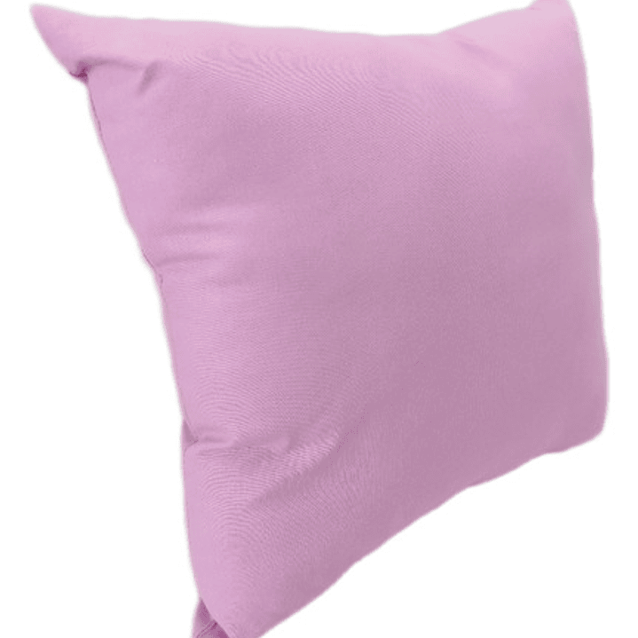 Cojín Bordado ¡la Compañera De Aventuras Más Dulce! 4