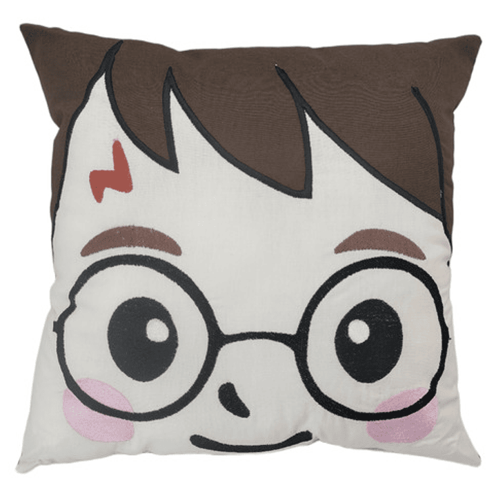 Cojín Bordado: Harry Potter (el Niño Que Sobrevivió) 1