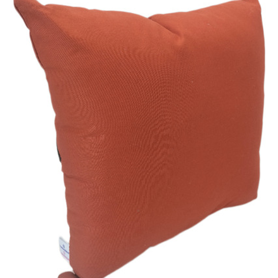 Cojín Bordado: Ron Weasley (mundo Mágico) 4