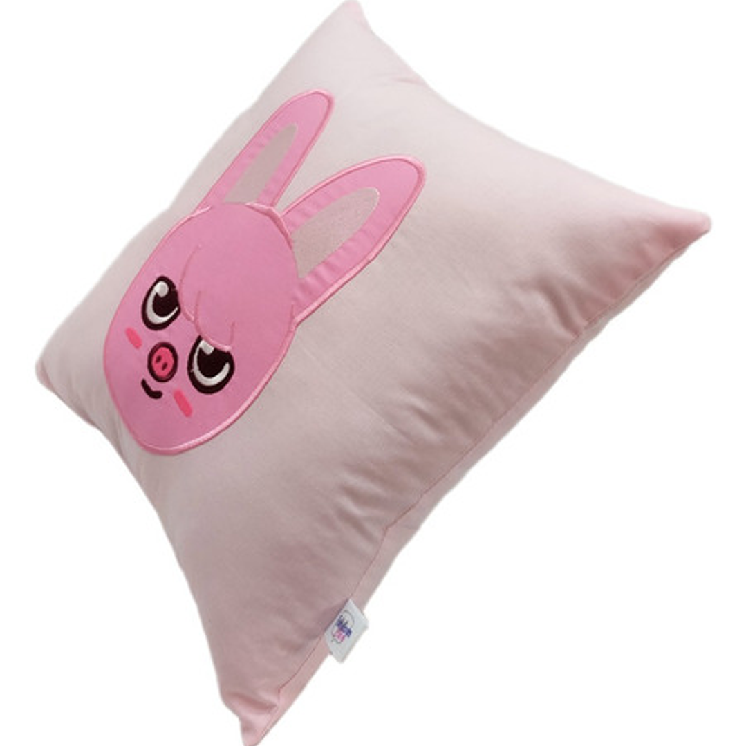 Cojín Bordado Stray Kids Changbin | Skzoo Dwaekki 2