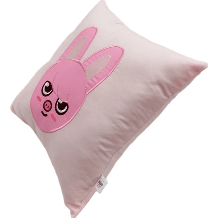 Cojín Bordado Stray Kids Changbin | Skzoo Dwaekki 2