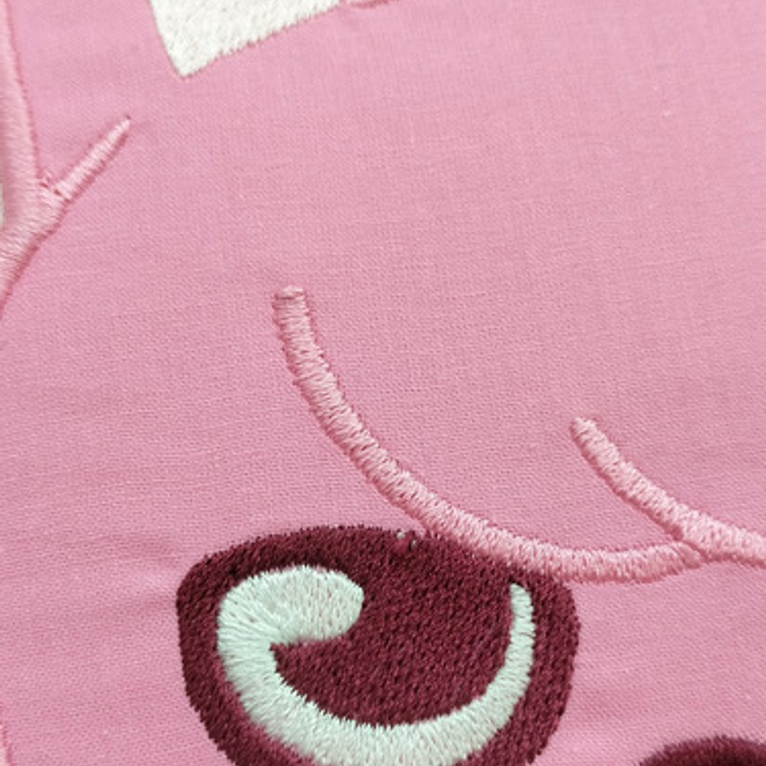 Cojín Bordado Stray Kids Changbin | Skzoo Dwaekki 3