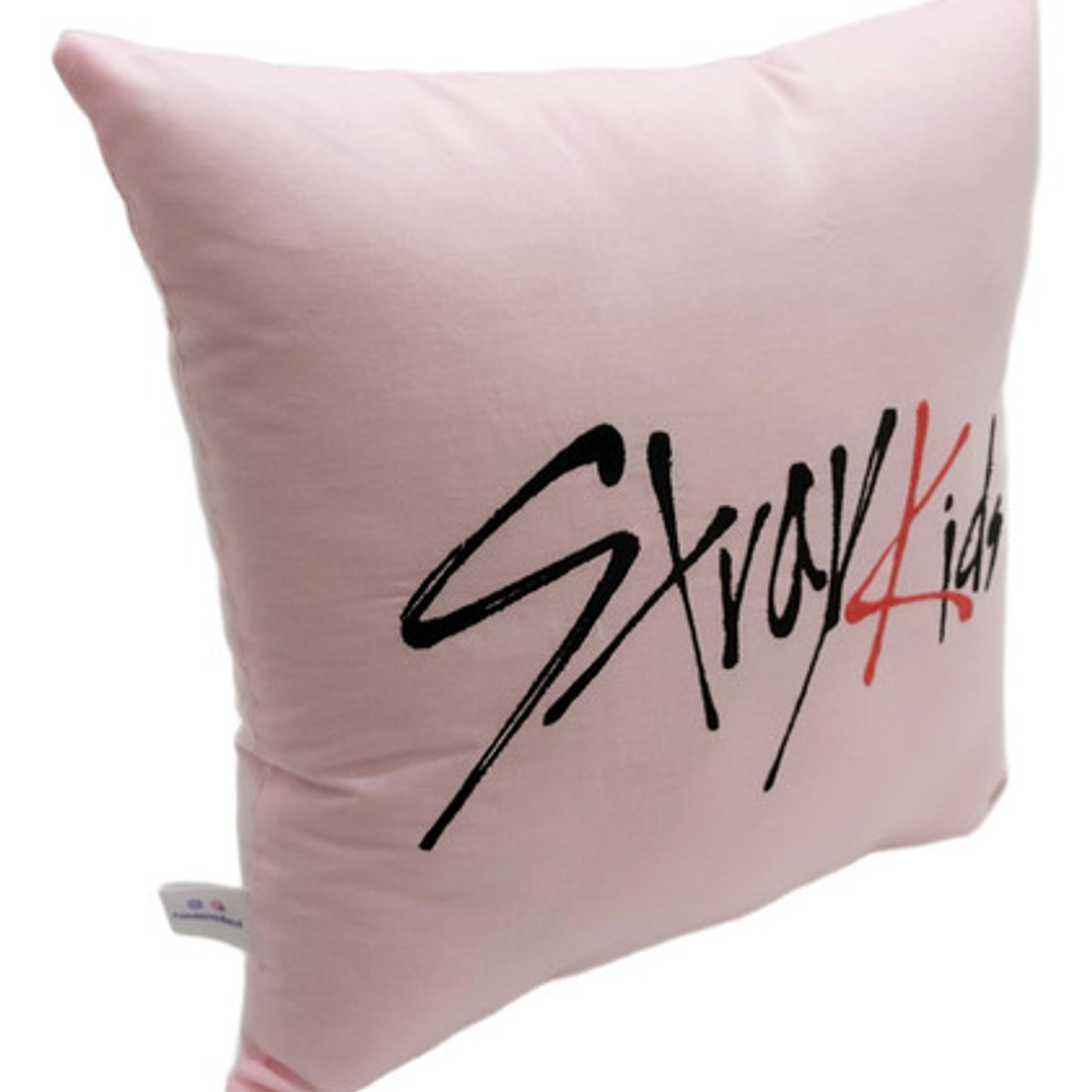 Cojín Bordado Stray Kids Changbin | Skzoo Dwaekki 4
