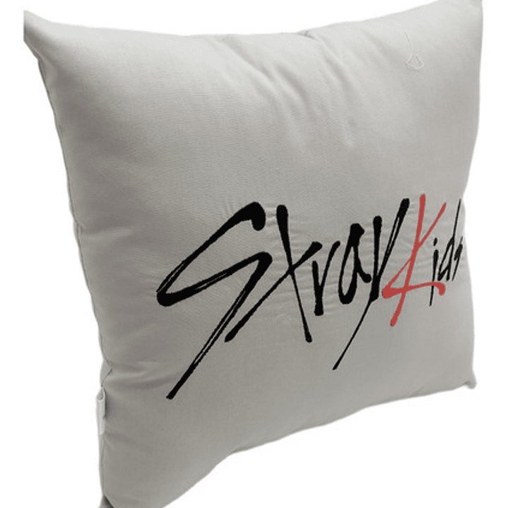 Cojín Bordado Stray Kids Lee Know | Skzoo Leebit 4