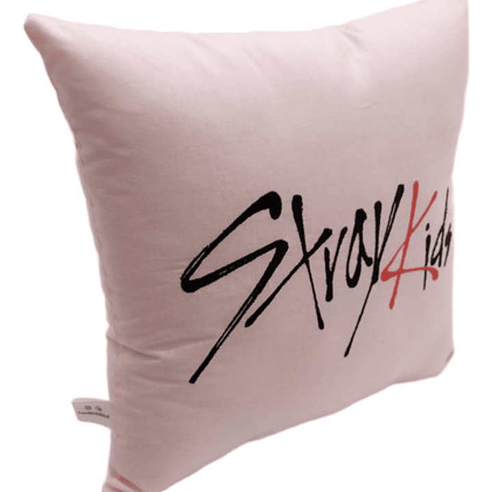 Cojín Bordado Stray Kids Changbin | Skzoo Dwaekki Black edition 7