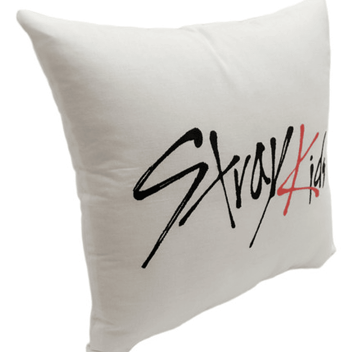 Cojín Bordado Stray Kids I.n | Skzoo Foxi.ny Black edition 8