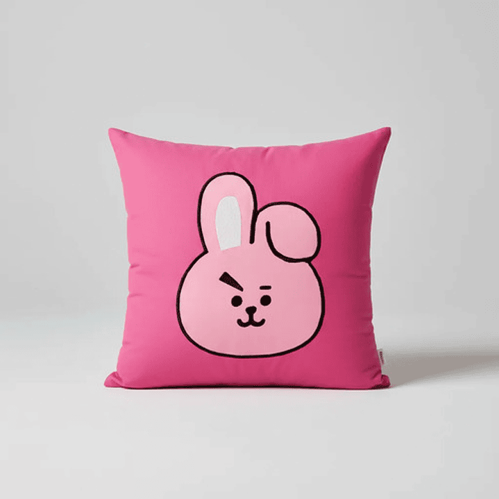 Cojín Bordado BTS BT21 Cooky 1