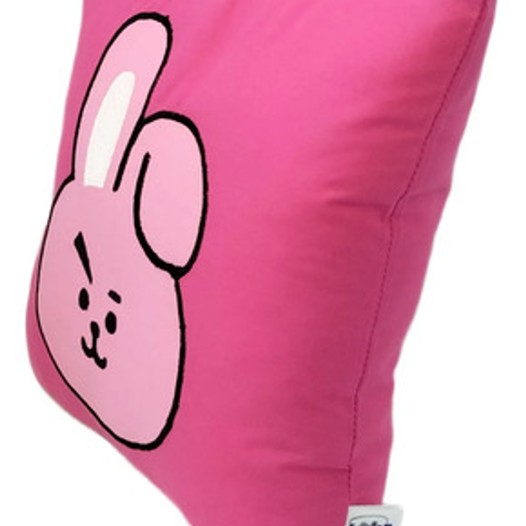 Cojín Bordado BTS BT21 Cooky 4