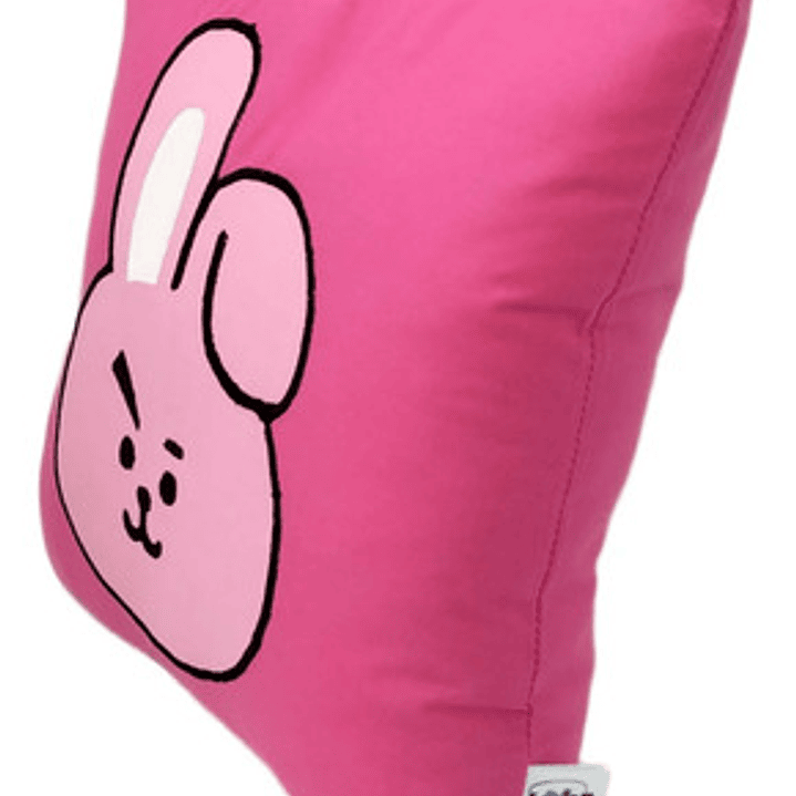 Cojín Bordado BTS BT21 Cooky 4