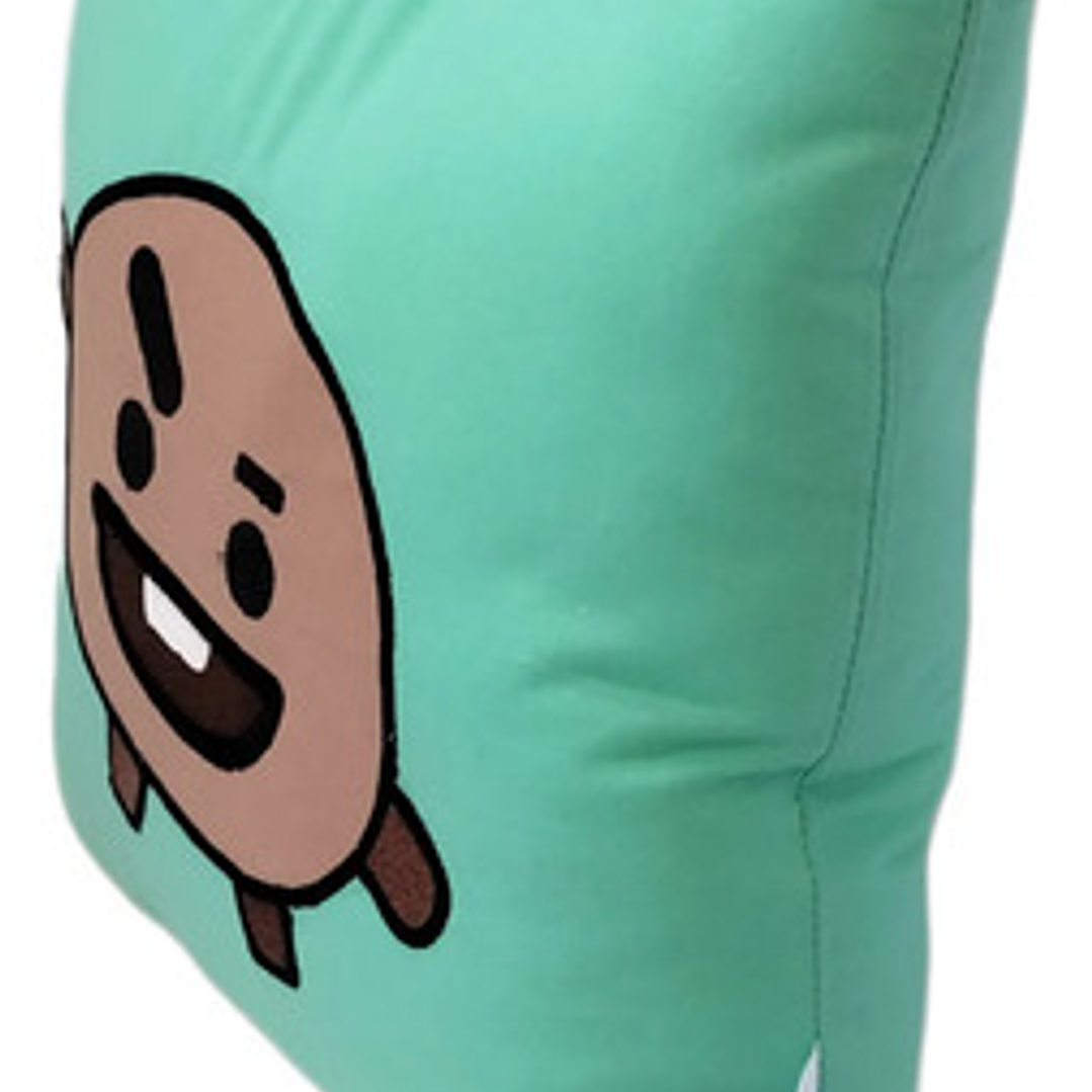 Cojín Bordado K-pop BTS BT21 Shooky 3