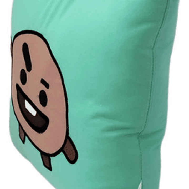 Cojín Bordado K-pop BTS BT21 Shooky 3