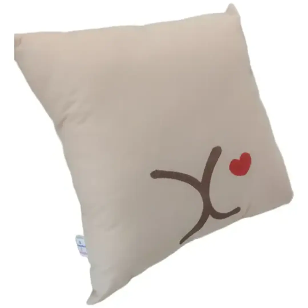 Cojín Bordado Capibara Carpincho Kawaii Varios Colores 4