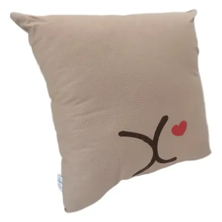 Cojín Bordado Capibara Carpincho Kawaii Varios Colores 4