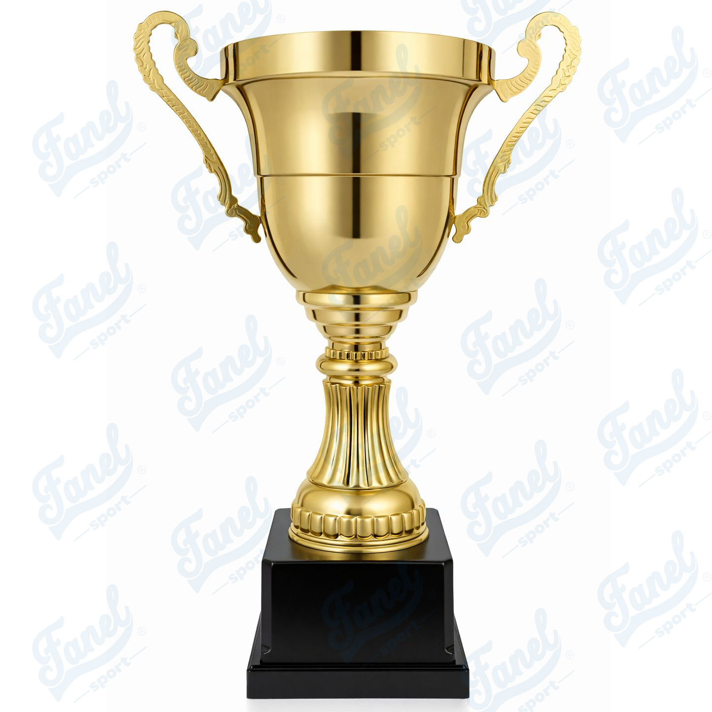 Copa dorada - B 2017