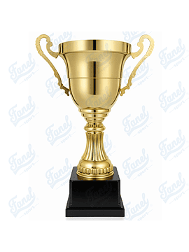 Copa dorada - B 2017