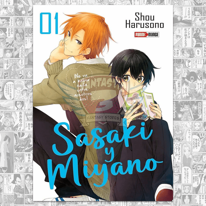 Sasaki y Miyano N.01 1