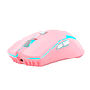 Mouse VENOM II WGC2 Sakura Edition 2024