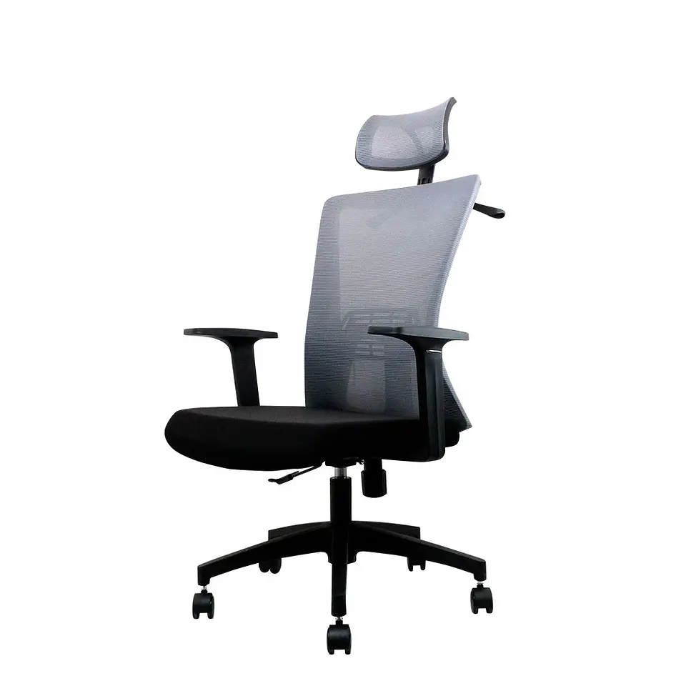 OCA258 Grey Silla ergonómica Oficina 1