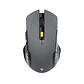 WG12R RAIGOR III Grey Mouse Inalámbrico 2.000 DPI - Miniatura 1