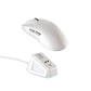WG13s TANTO S White Ultimate Gaming Mouse Inalámbrico 26.000 DPI y 8.000 Hz con dock de carga RGB - Miniatura 1