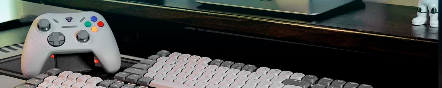 Controles de Edición Especial y Retro