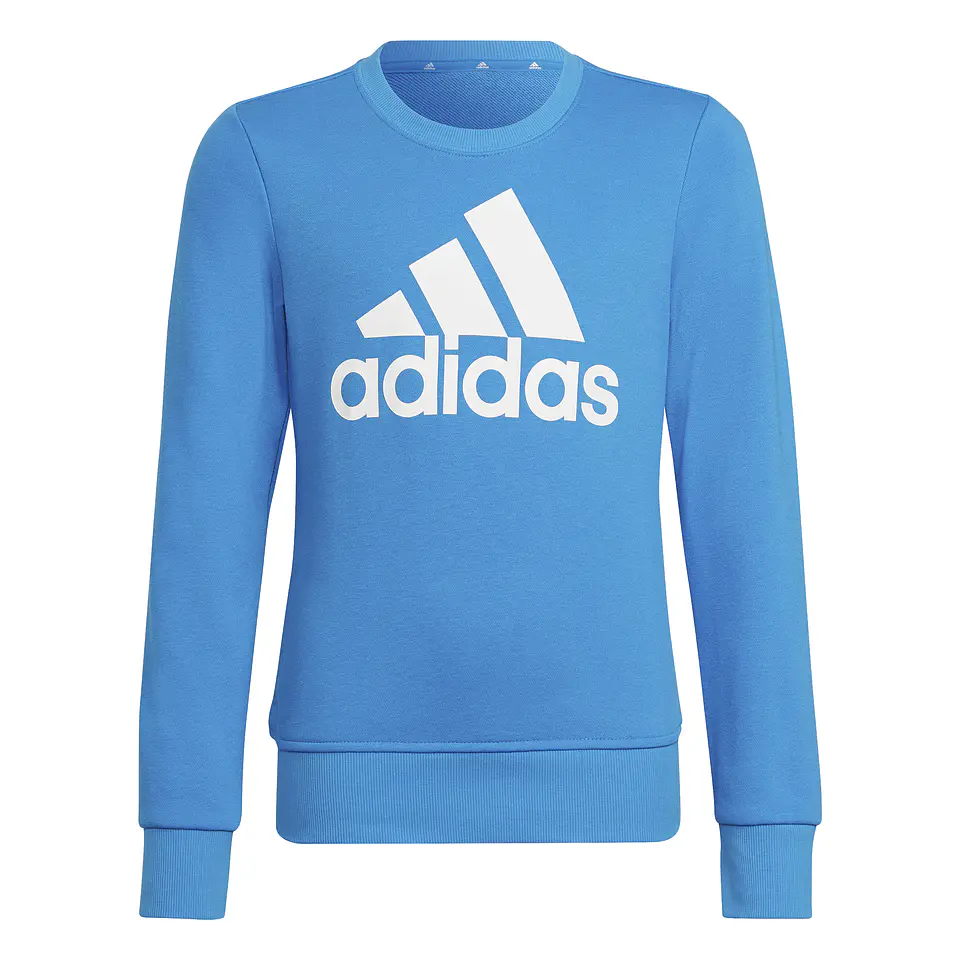 Polerón Niño Azul Adidas HG1098 1