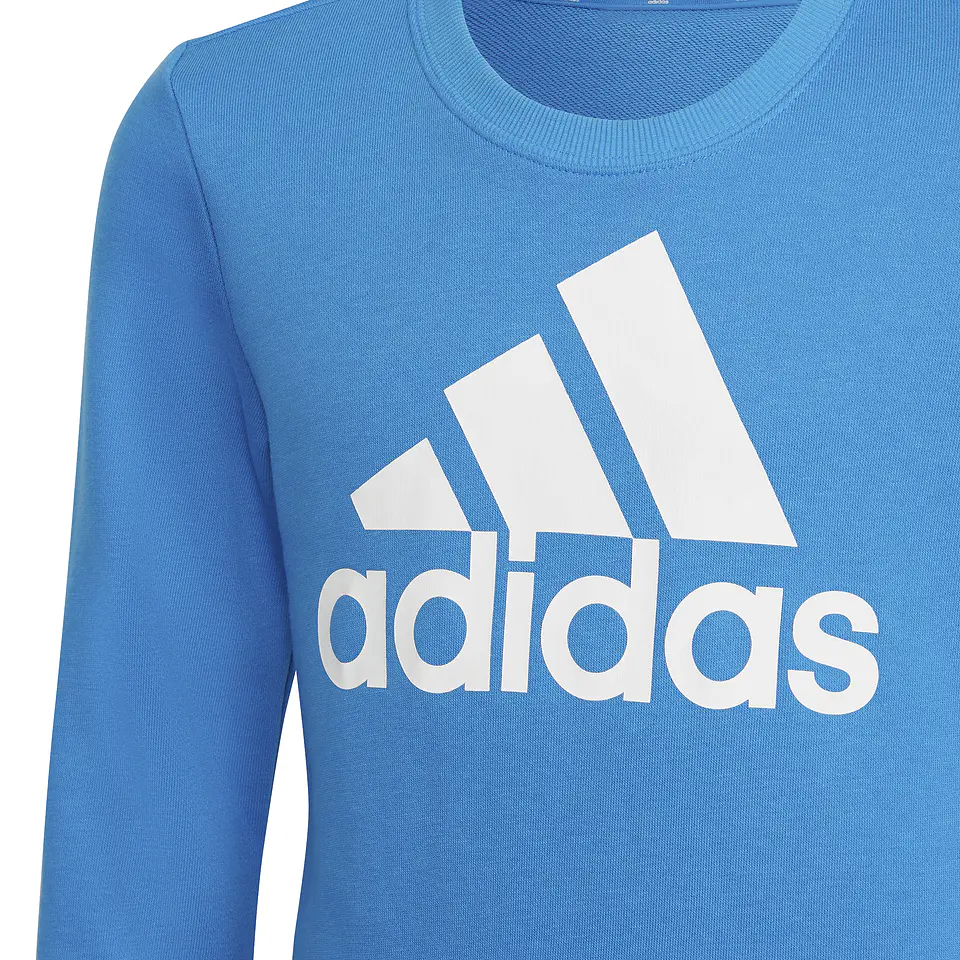 Polerón Niño Azul Adidas HG1098 5